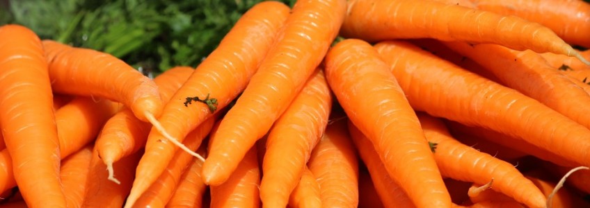 the-carrot-410670_960_720